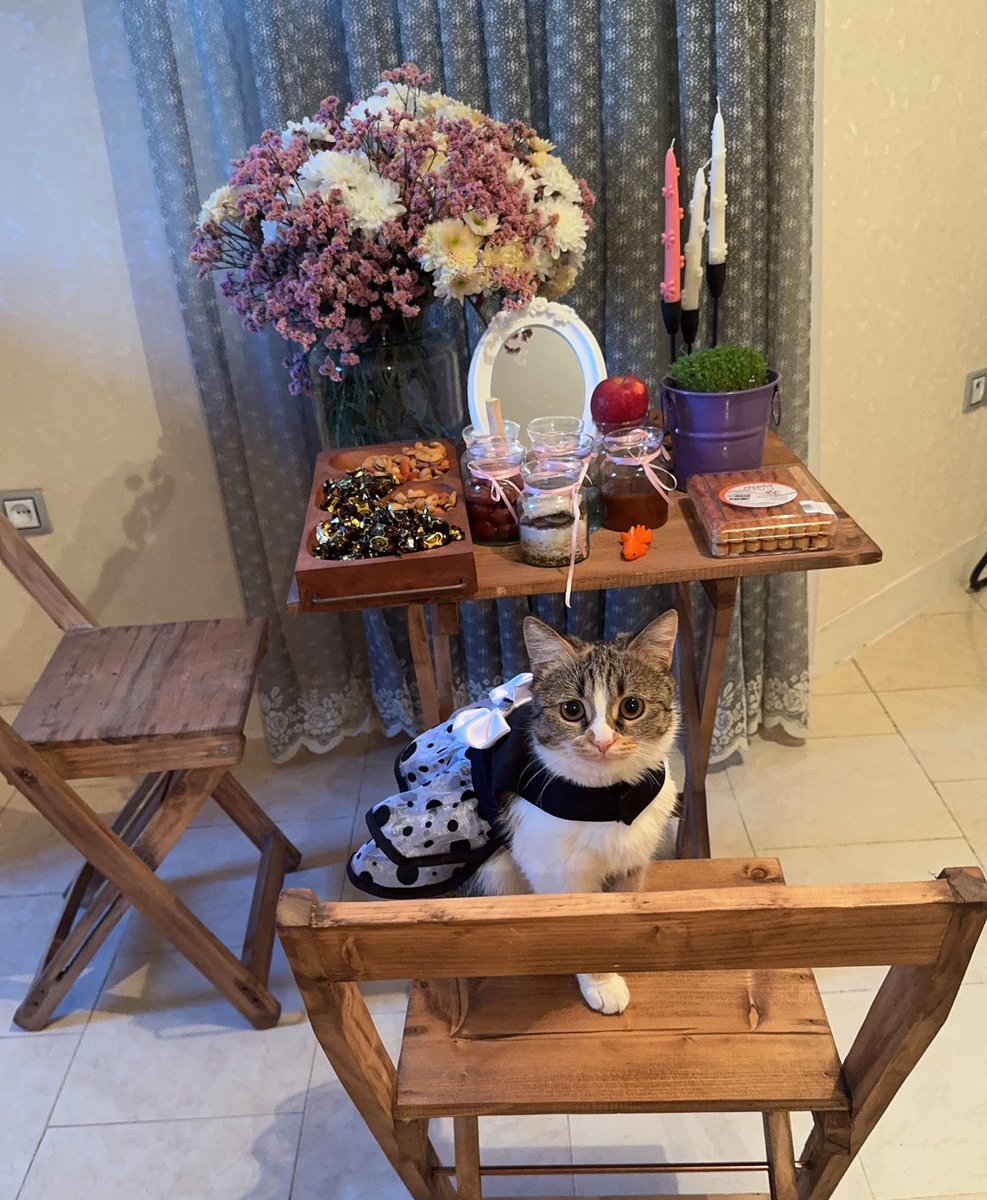 پدرت🐉 tweet media