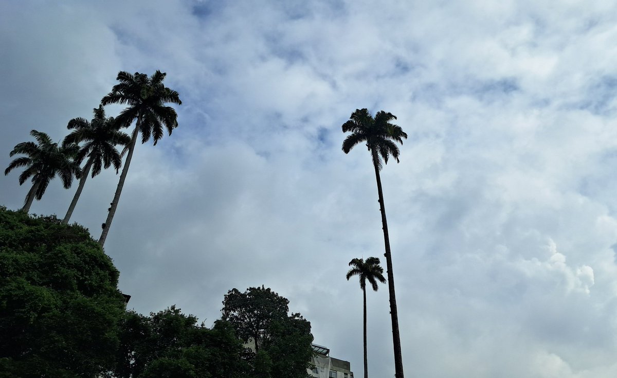 cloudyweatheryy's tweet photo. #cloudtwt
neat! https://t.co/9Tirk5bJCS