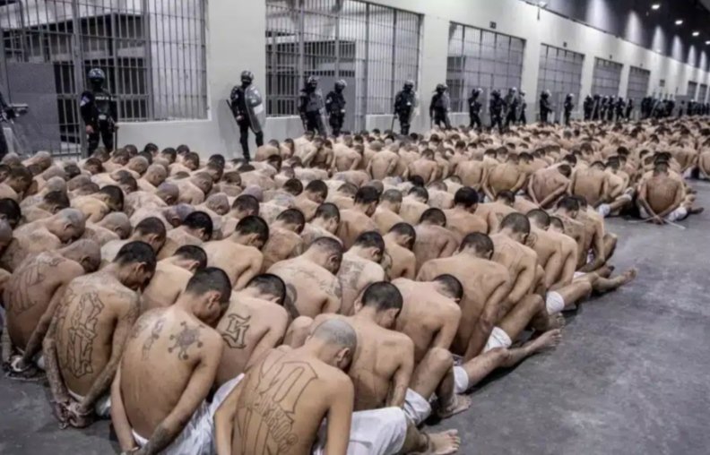 𝐋𝐚𝐯𝐮𝐤 𝐌𝐜𝐐𝐮𝐞𝐞𝐧🇹🇷 tweet media