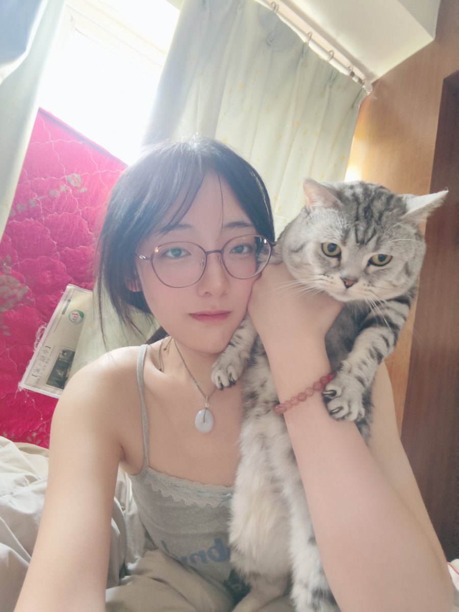 Castilia y tweet media