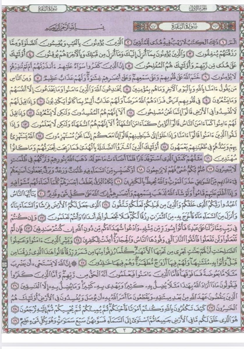 دانا💎 tweet media