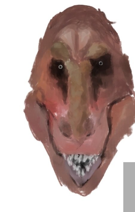 Ceratosaurus Dentisulcatus tweet media