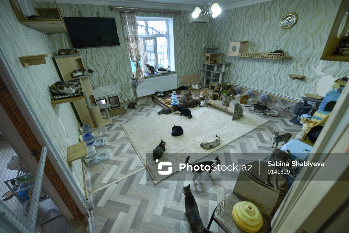 Photo Stock tweet media