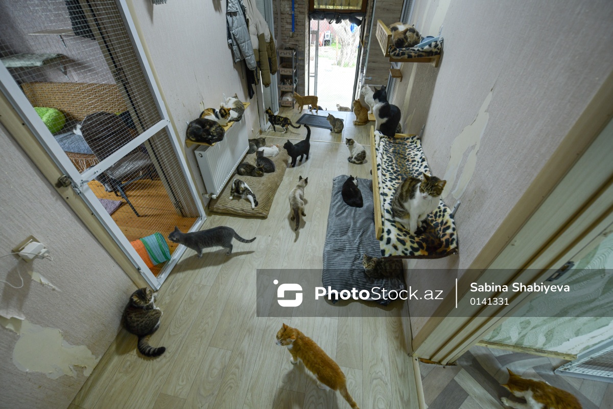 Photo Stock tweet media