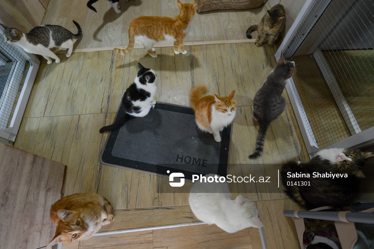 Photo Stock tweet media