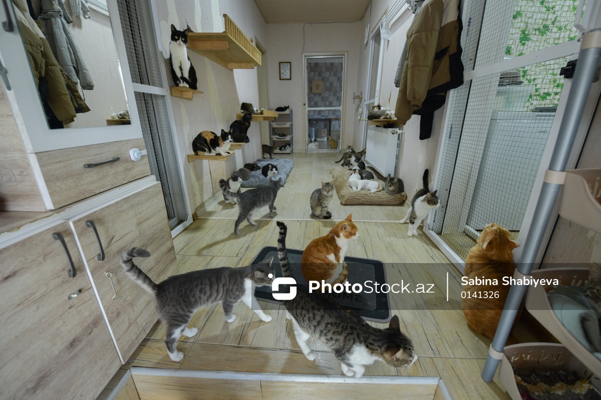 Photo Stock tweet media