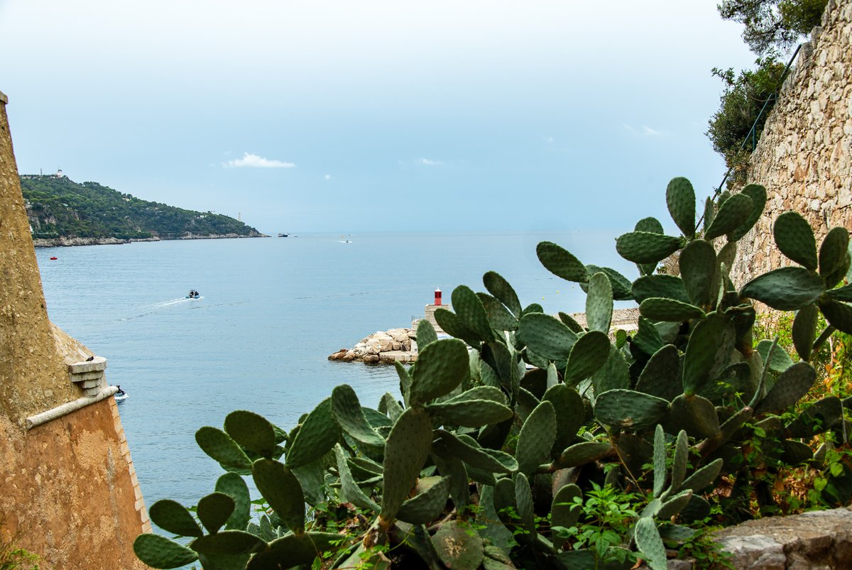 WellensRog's tweet image. #travel #MagnifiqueFrance #france #genieten #streetphotography #history #doucefrance #landscape  Villefranche-sur-Mer, france