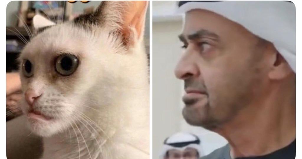 ابو صدام الصبيحي tweet media