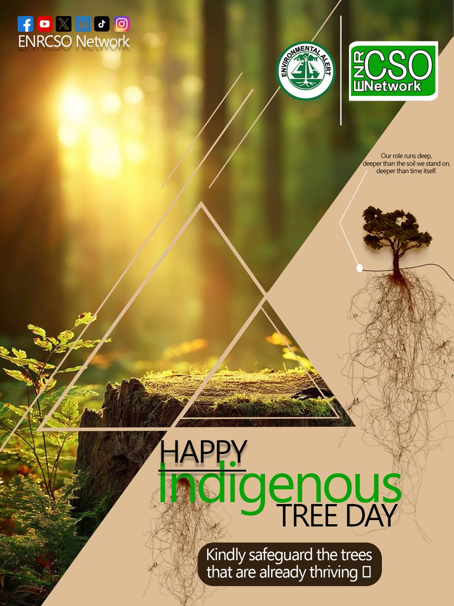 ENRCSO's tweet photo. Restoration:
ENRCSO, we are committed to restoring our ecosystems by protecting indigenous trees the roots of our heritage, the guardians of our biodiversity, and the hope for a greener, resilient future. https://t.co/aStkikl4aH