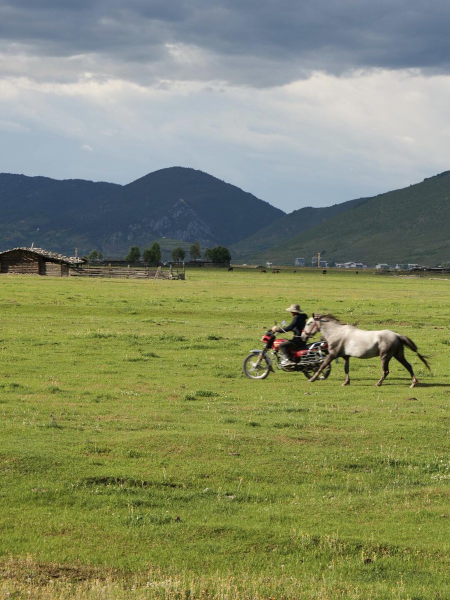 ingrid Donceel tweet media