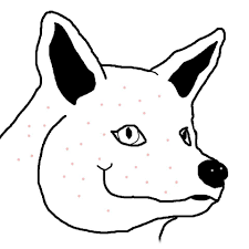 Himari ひまり tweet media