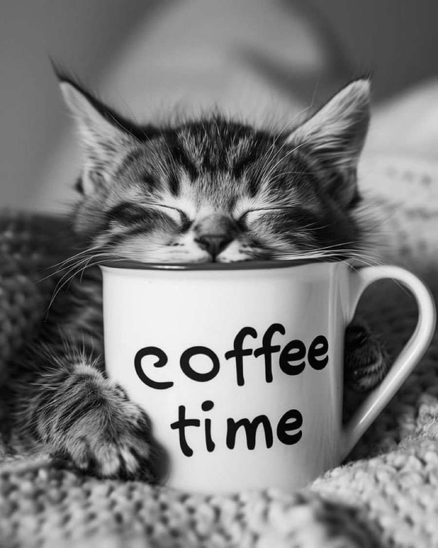 MARIALUISAMAR5's tweet image. #COFFEETIME 🐾🐾💋🐾🐾