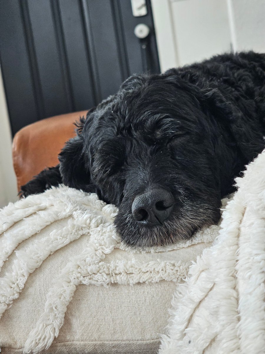 Lachlan's Cards tweet media