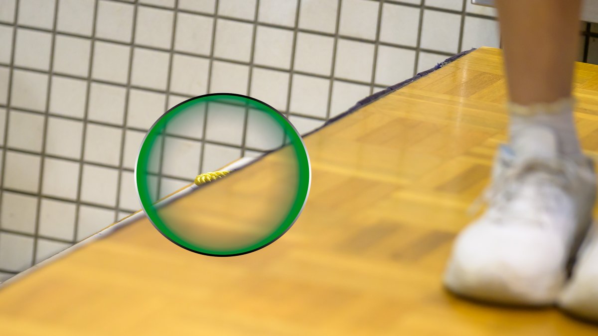 H̆̈am(ハム)🐹📷⚓️🍀🫛⛲💎🌝🐱 tweet media