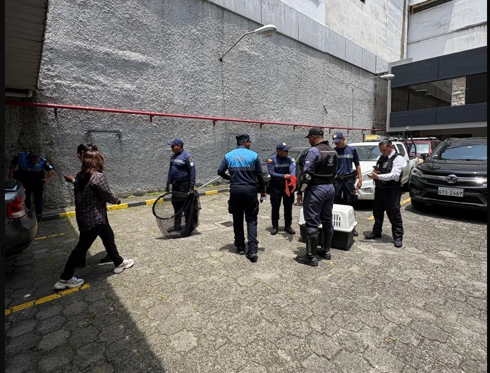 181 Responde tweet media