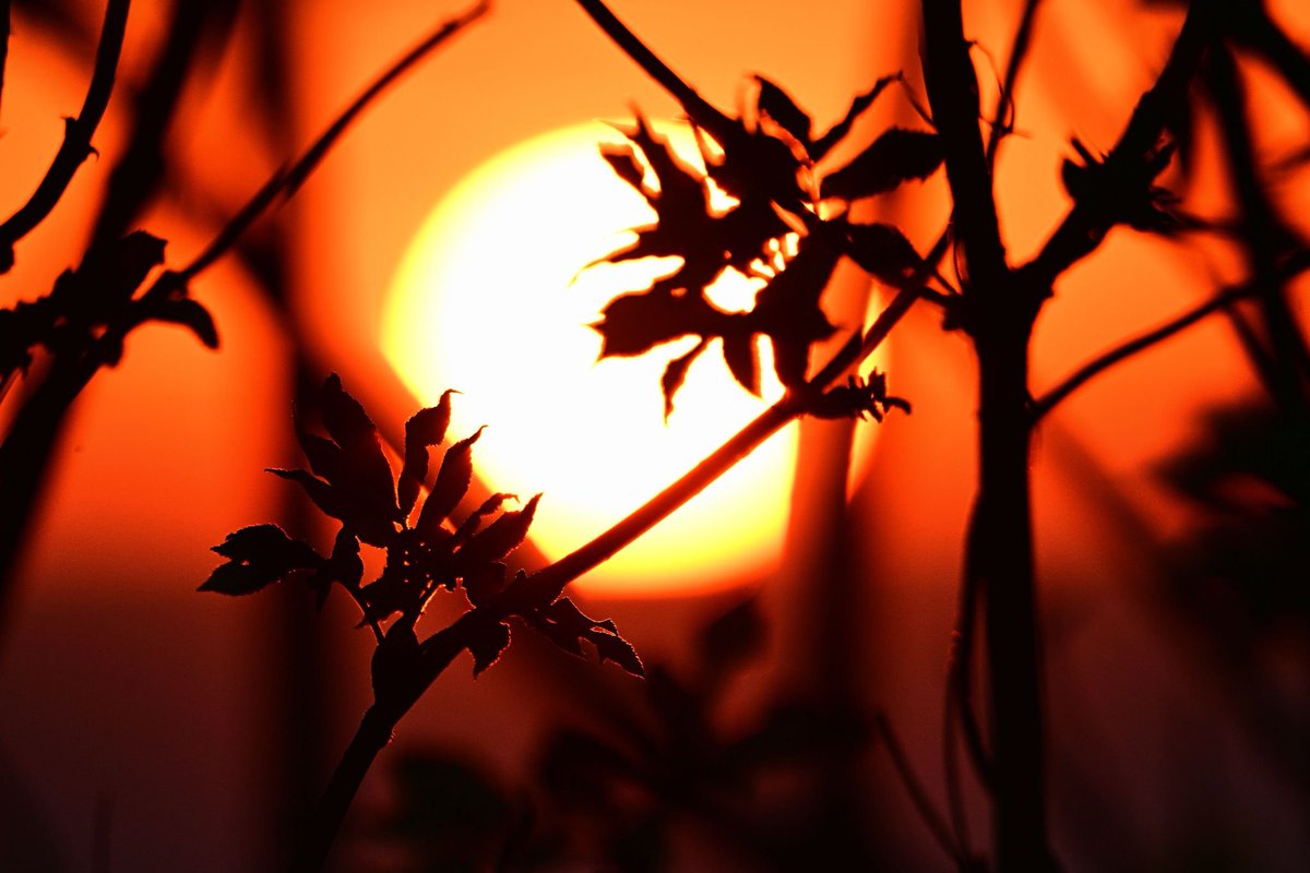 Chadjk99 tweet media