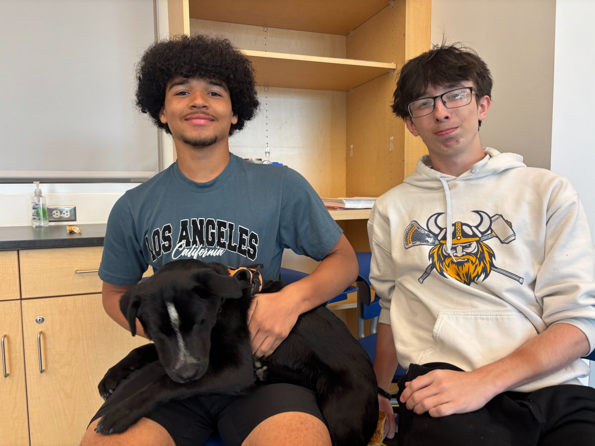 UpperMerionSD's tweet photo. During today’s Lunch &amp; Learn at the HS we were thrilled to host To Love a Canine Rescue &amp; their adorable puppies! These fabulous students were nominated by their teachers for living out our HORNS UP values all quarter long.

Honest  Optimistic Respectful Neighborly  &amp; Supportive! https://t.co/GMtzZvz3q1