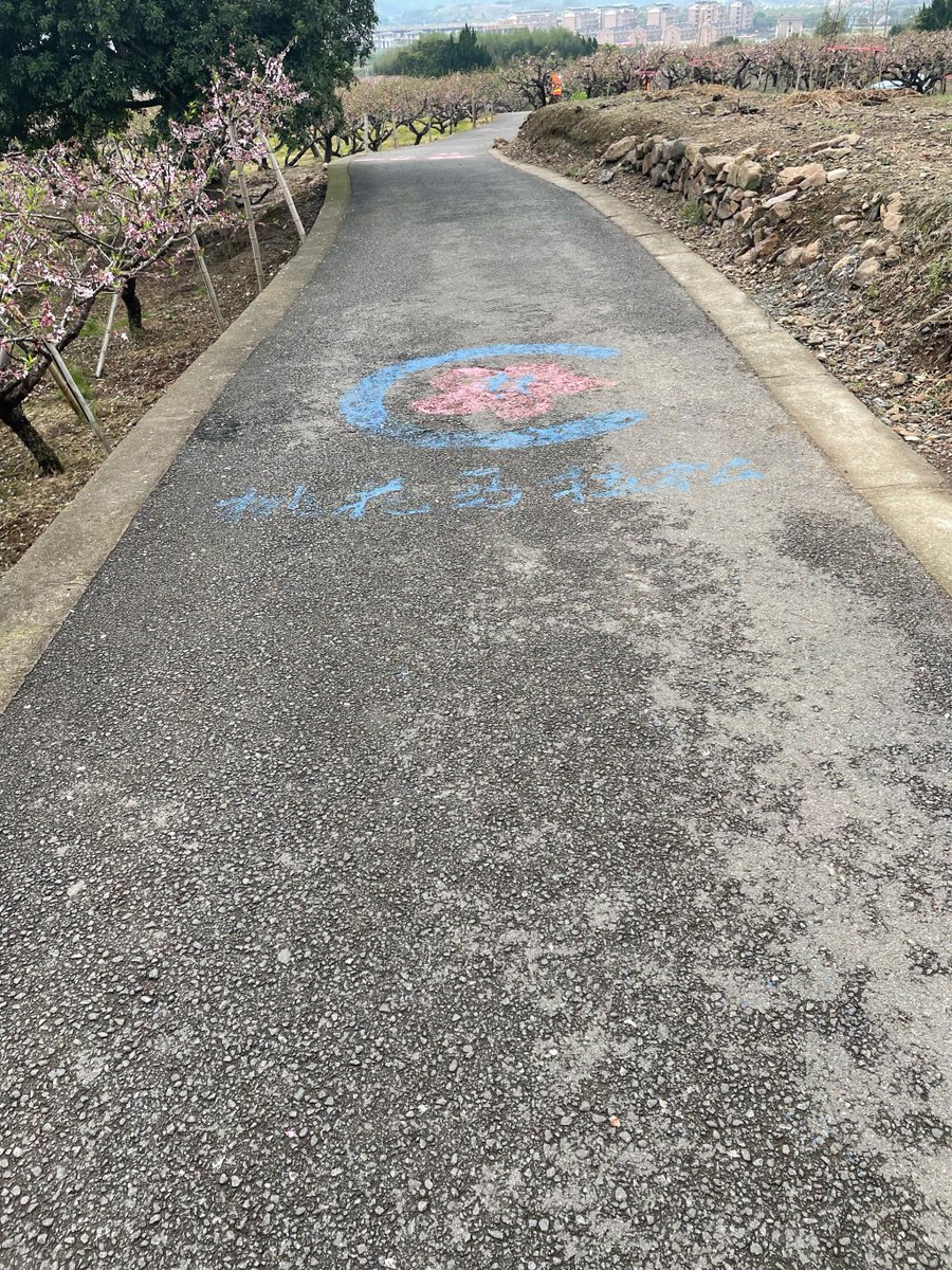 Karie Georgeson tweet media