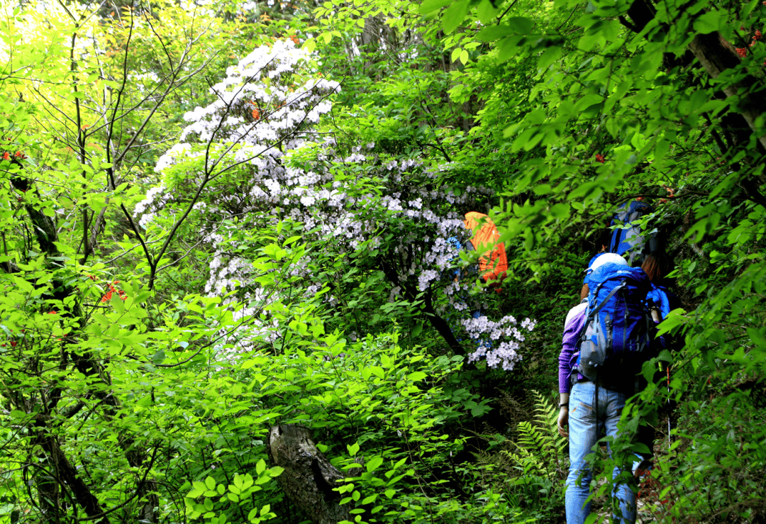 شخص عادي tweet media