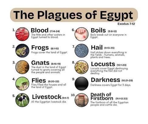 KBee🐝 tweet media