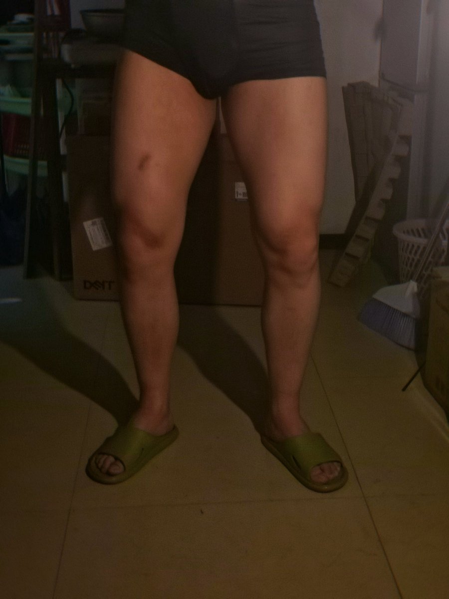 渡渡鸟 tweet media