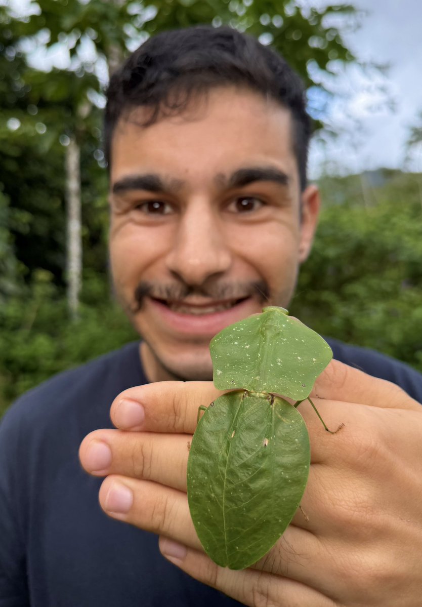 Nick Volpe tweet media