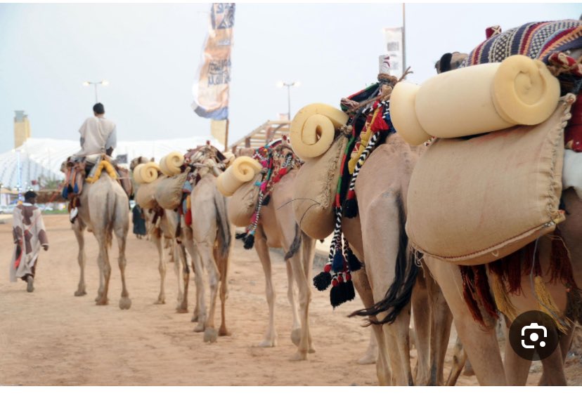 موسـى بن أحمـد |📕 tweet media