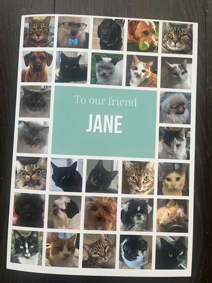 Jane Fallon tweet media