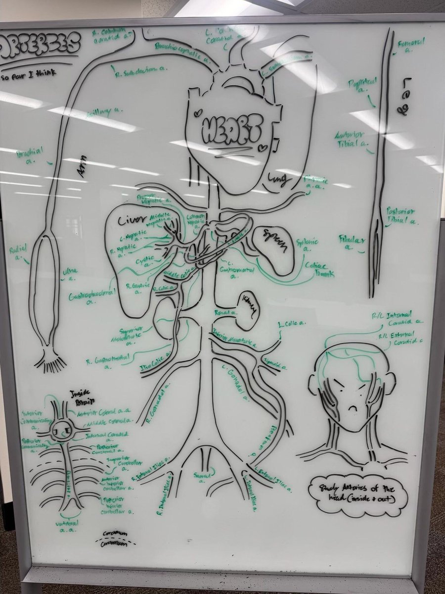 UCO Library tweet media