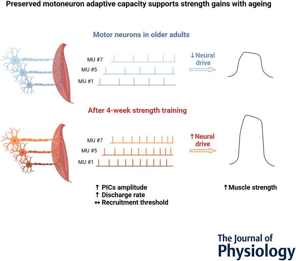 Journal of Physiology tweet media