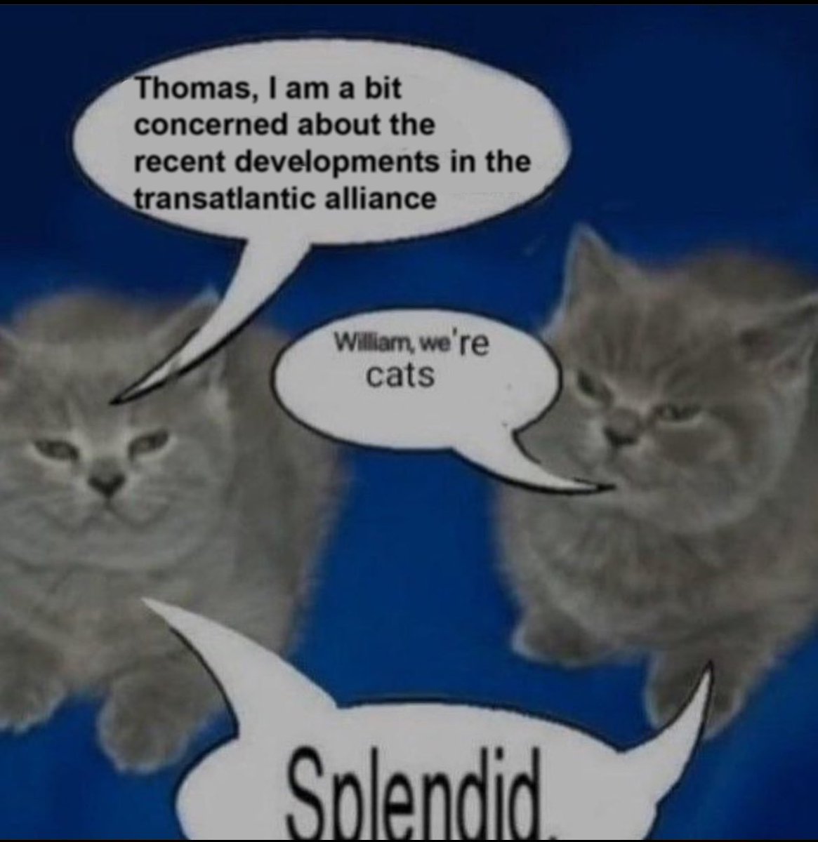 Kein Mensch Kein Tier tweet media