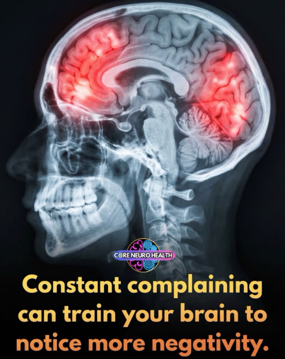 Neuron Powers 🧠 tweet media