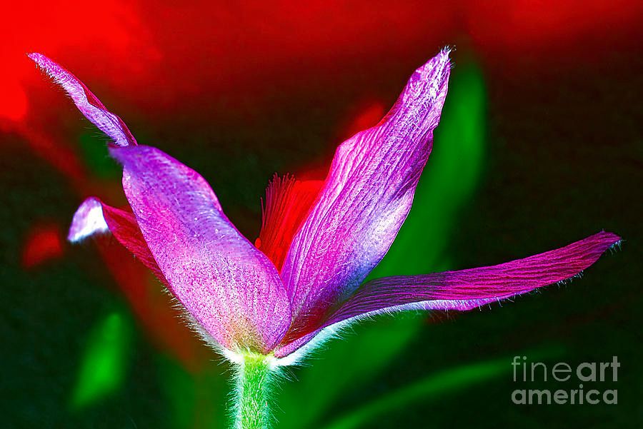photographervin's tweet image. Power Of #Nature.
alexander-vinogradov.pixels.com/featured/power…
#artwork #happy #beautiful #art #flowers #love #floral #garden #botanical #AlexanderVinogradovphotography #giftidea #BuyIntoArt #ayearforart #wallart #homedecor #interiordesign #artforsale #artprint #photography #fineartphotography