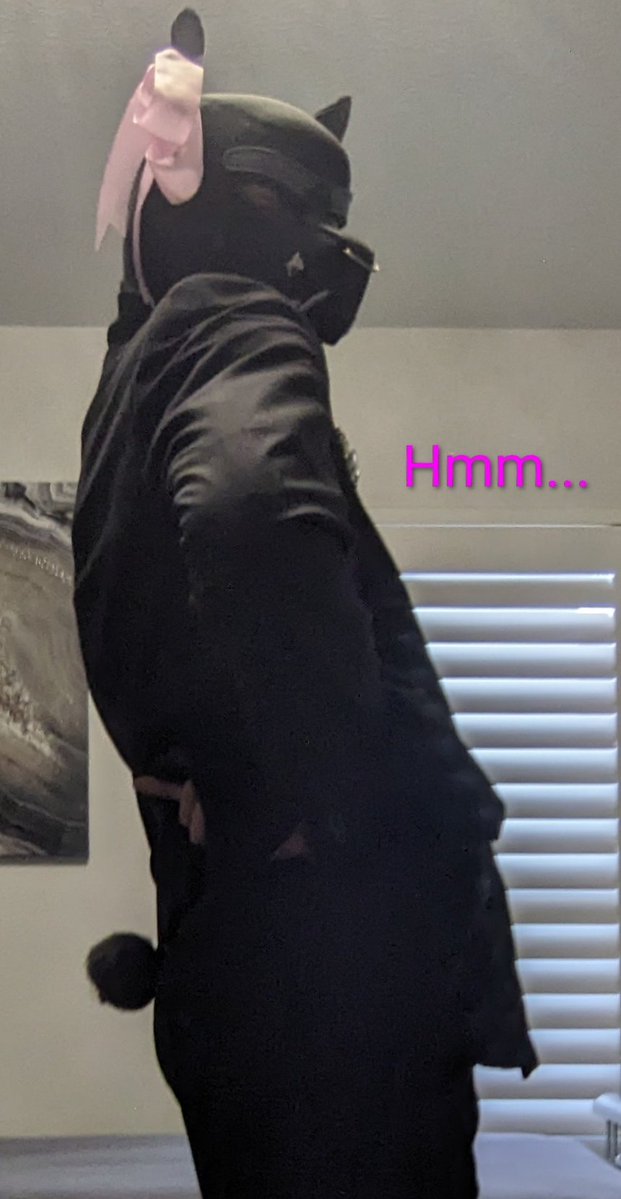 DLiches's tweet image. Sorry, I only step into church for 
a
F U N E R A L .✨
...
Anyway, the bow n' tail brighten it up at all? ldk

#pupcommunity #gothstyle #menswear #formal