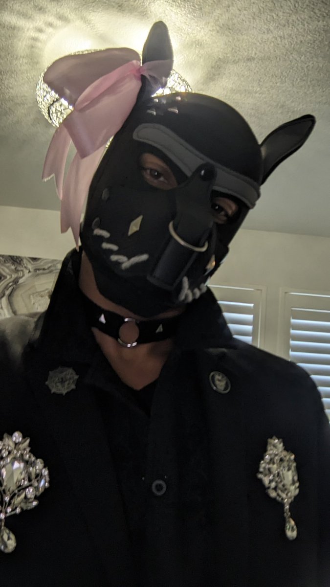 DLiches's tweet image. Sorry, I only step into church for 
a
F U N E R A L .✨
...
Anyway, the bow n' tail brighten it up at all? ldk

#pupcommunity #gothstyle #menswear #formal