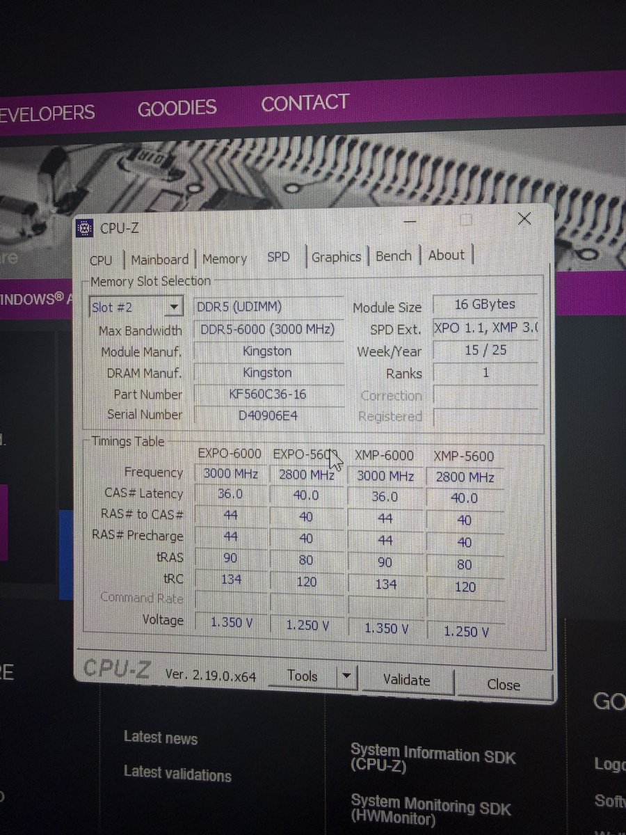 Zaike 🇵🇹 tweet media