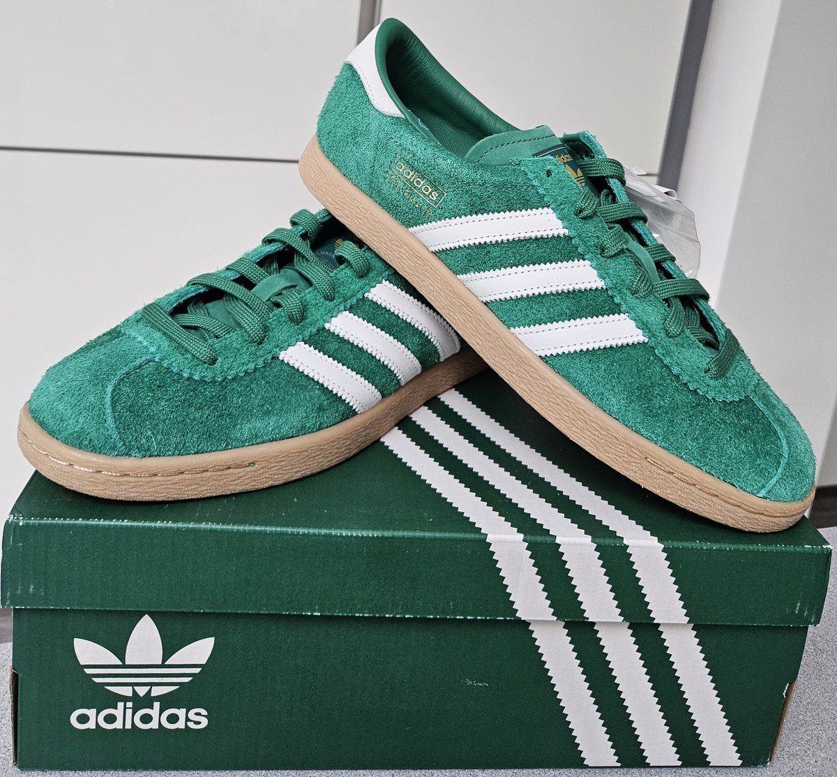 HIRDY /// tweet media