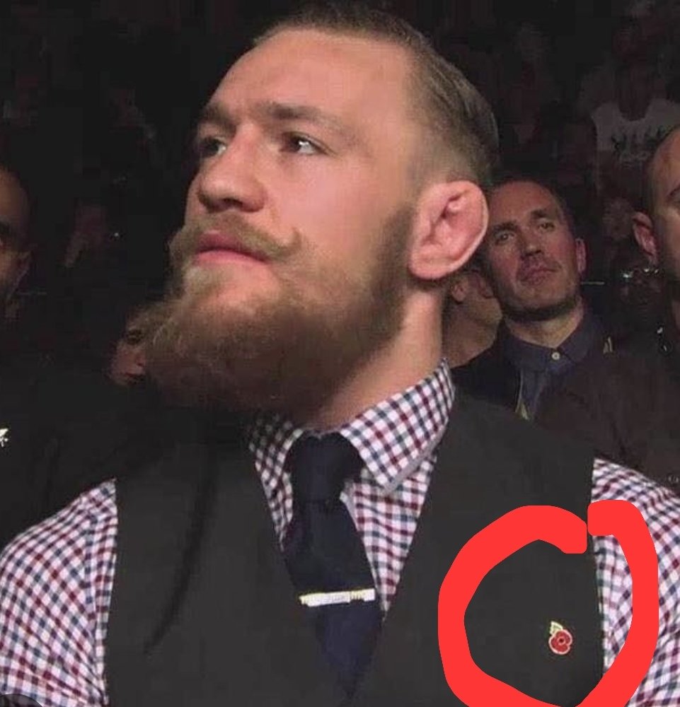 Mr Ro Hennessy (MDANT) tweet media