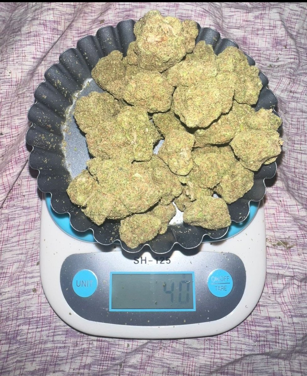 WQatar68364's tweet image. Whatsapp +923328939034
Available weed American hybrid delivery fast 
#Dubai 
#albrsha 
#AbuDhabiGP 
#Sharjah24 
#alqoz
#alnhda 
#diradubai 
#alkarama 
#Dip
#musaffa
Available all stuff all dubai delivery everytime fast 💯❤️ Good quality good price 💯