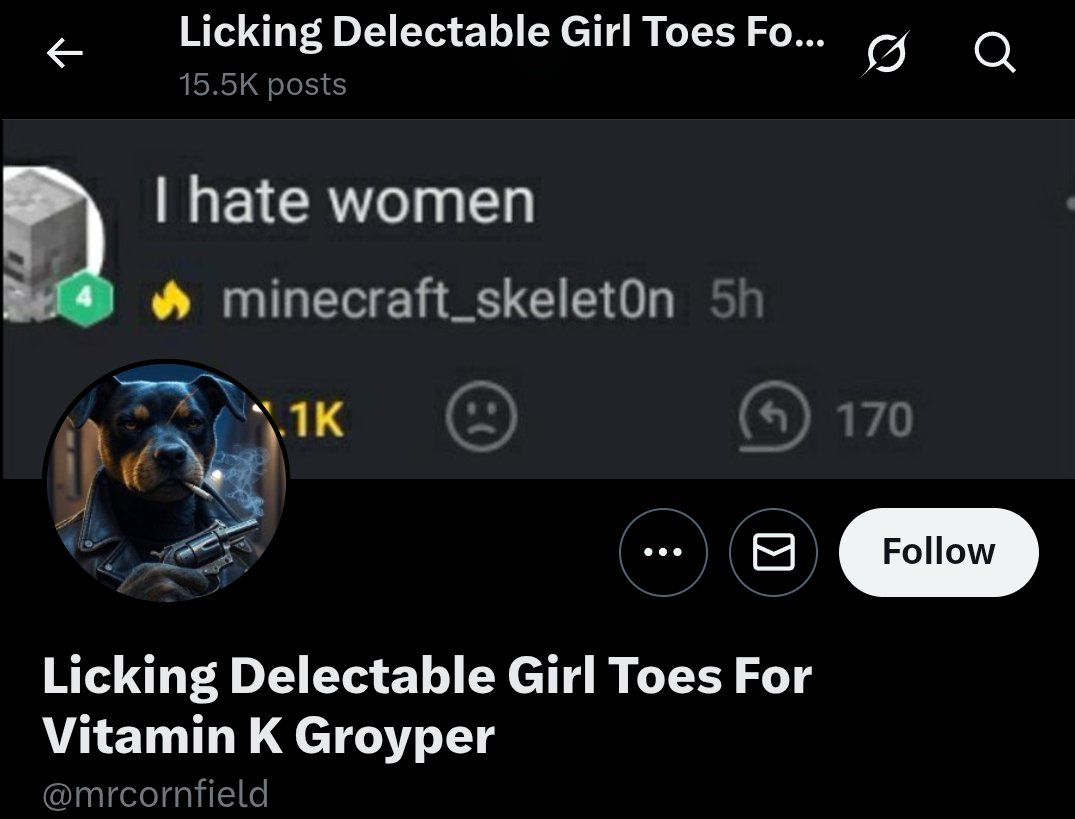 gringoblunga22 tweet media