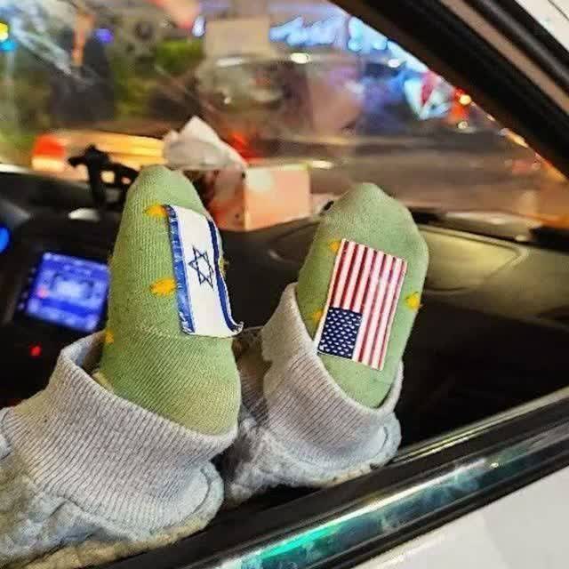 فیروزه tweet media