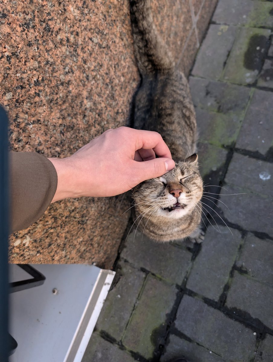 Ihor Shevchenko tweet media