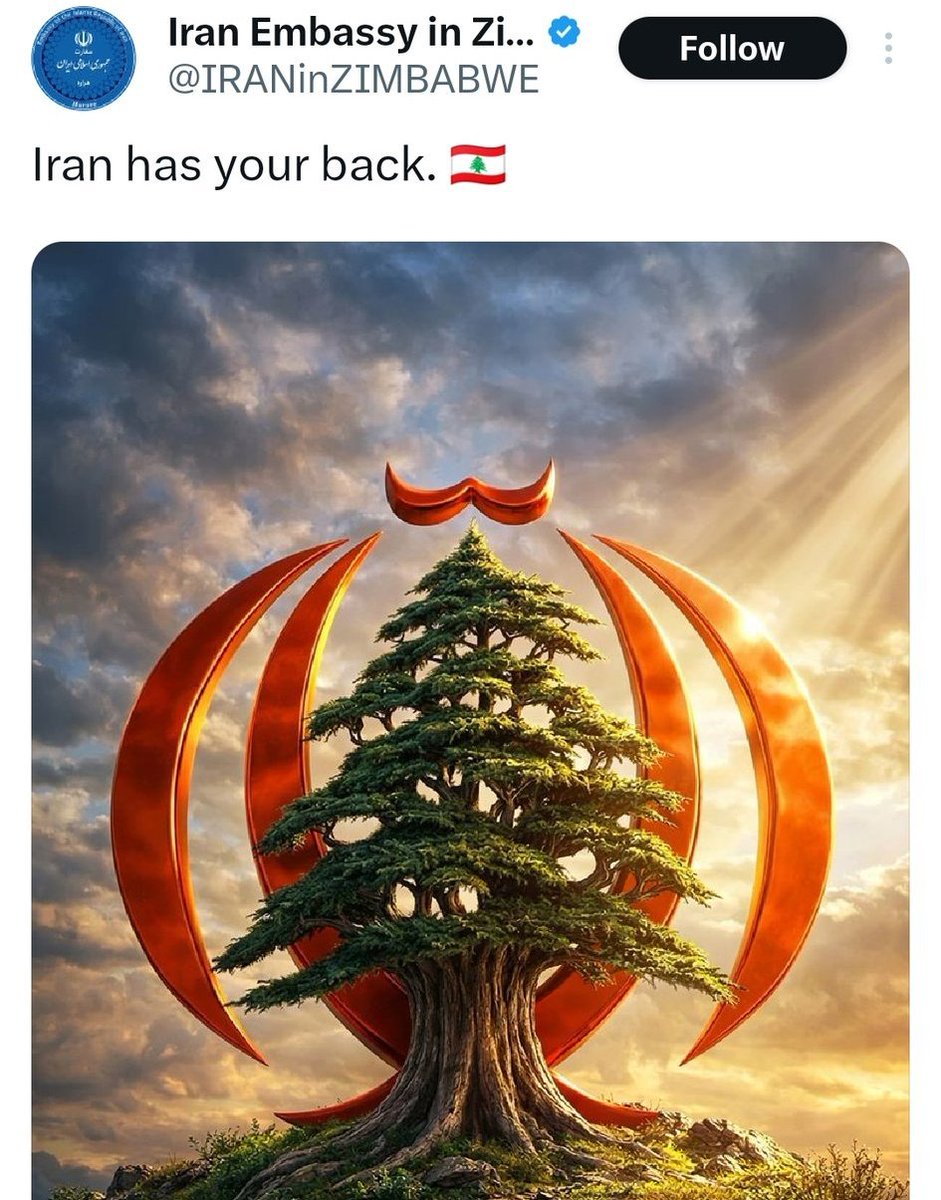 عــــلــــي tweet media