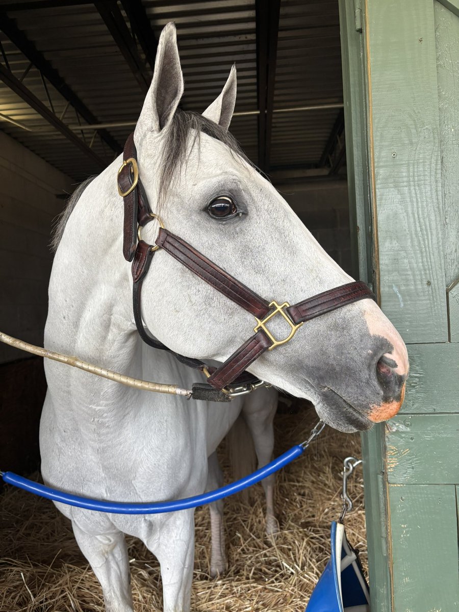 Matt Dinerman tweet media