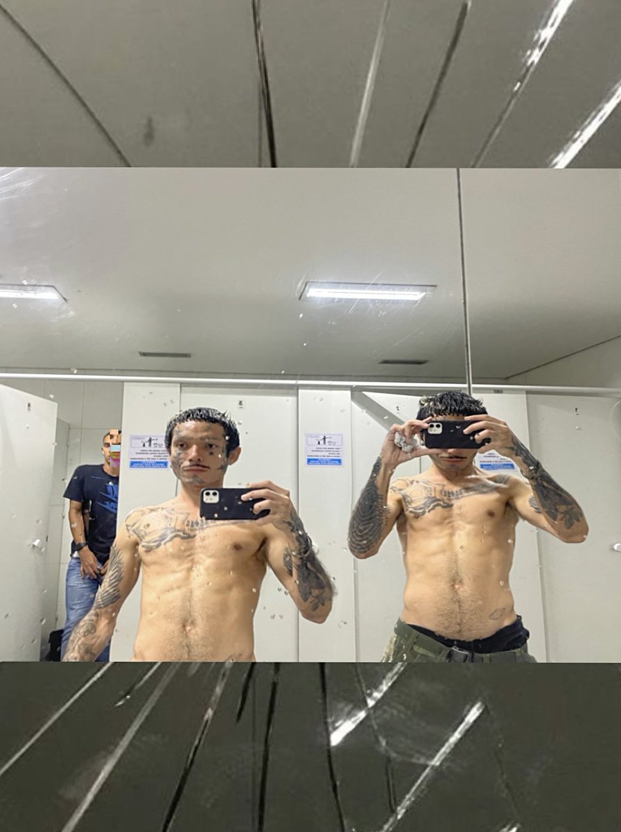 sugarsugarbr tweet media