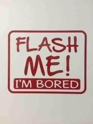 Alexia. | #282-Z tweet media