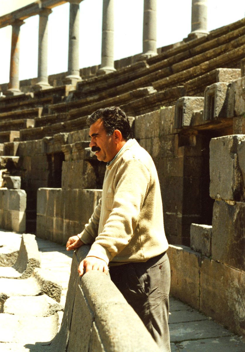 FEDA 🇬🇫 ✹ tweet media