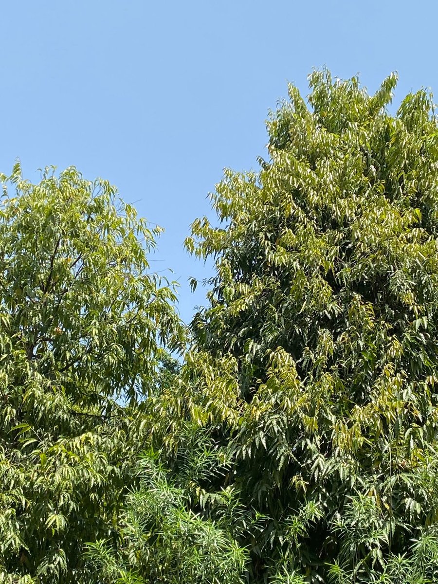 Usha Wildflower 🌱📚 🍀 tweet media