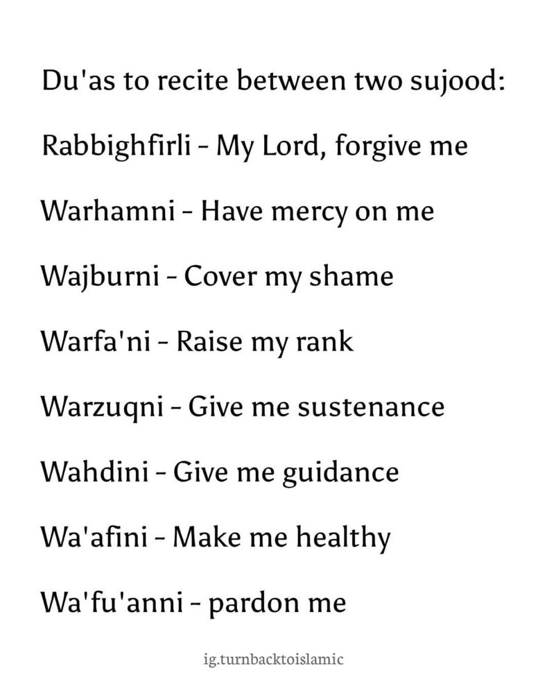 STRIVING MUSLIM tweet media