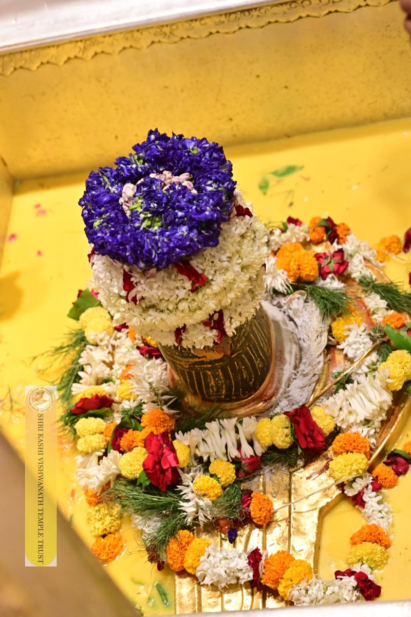ShriVishwanath's tweet image. श्री काशी विश्वनाथ जी की सप्तऋषि आरती I
#kashivishwanath #kashi #hindu #sanatandharm